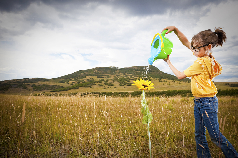 Istock_solsikke_1000 Istock_solsikke_1000