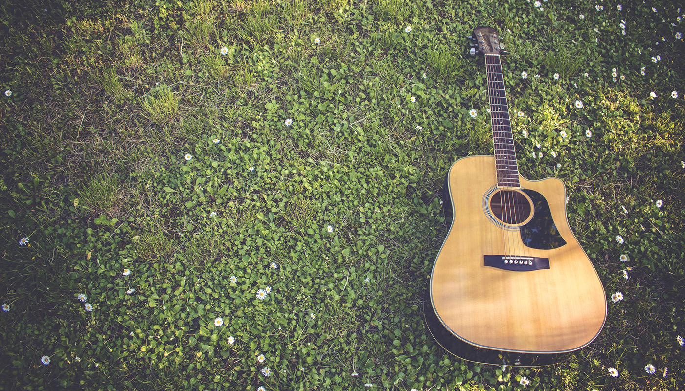 Single Guitar Laying On Grass Guitar in Nature