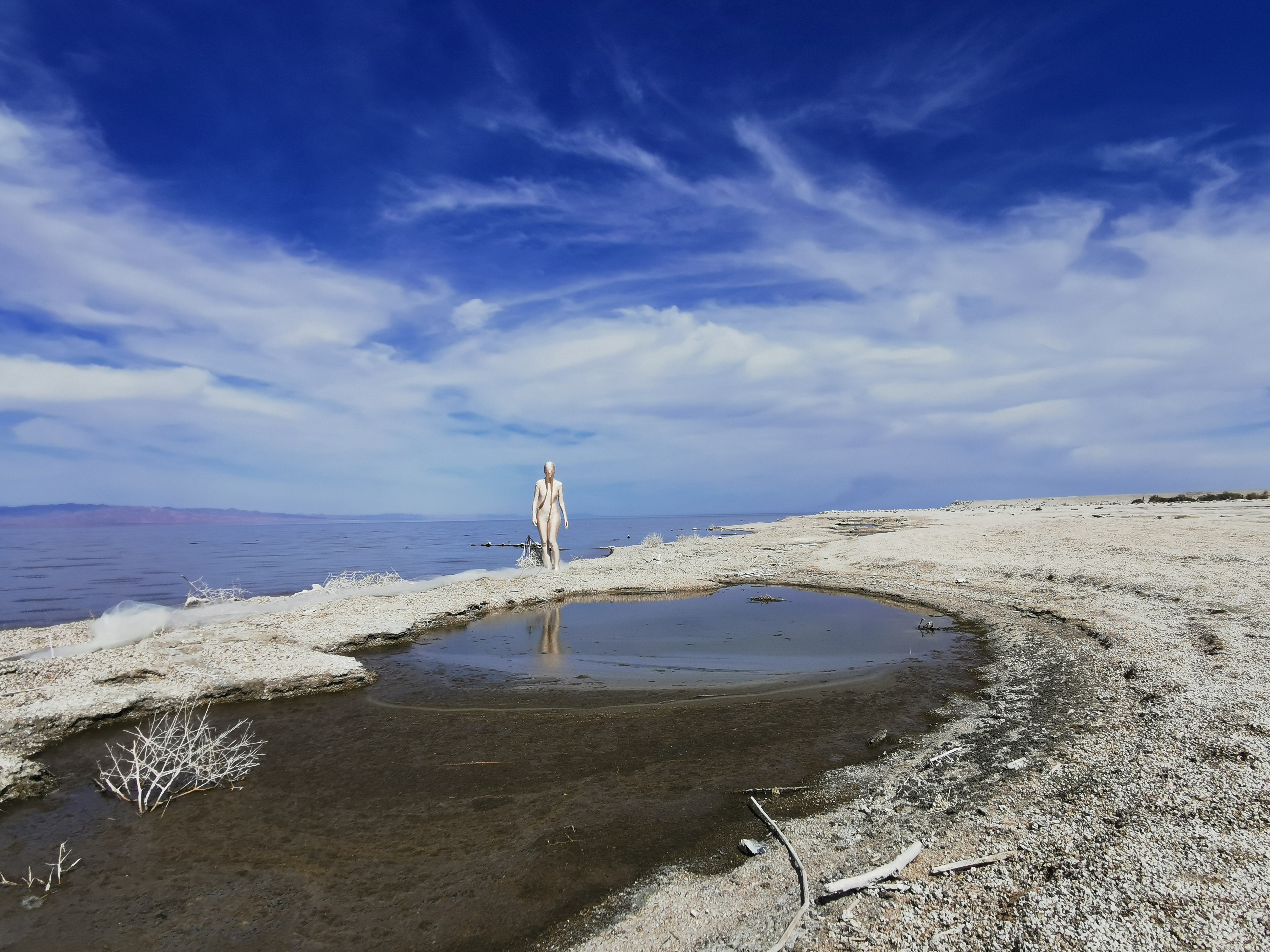 TSL_Desert Creatures_Salton Sea I TSL_Desert Creatures_Salton Sea I