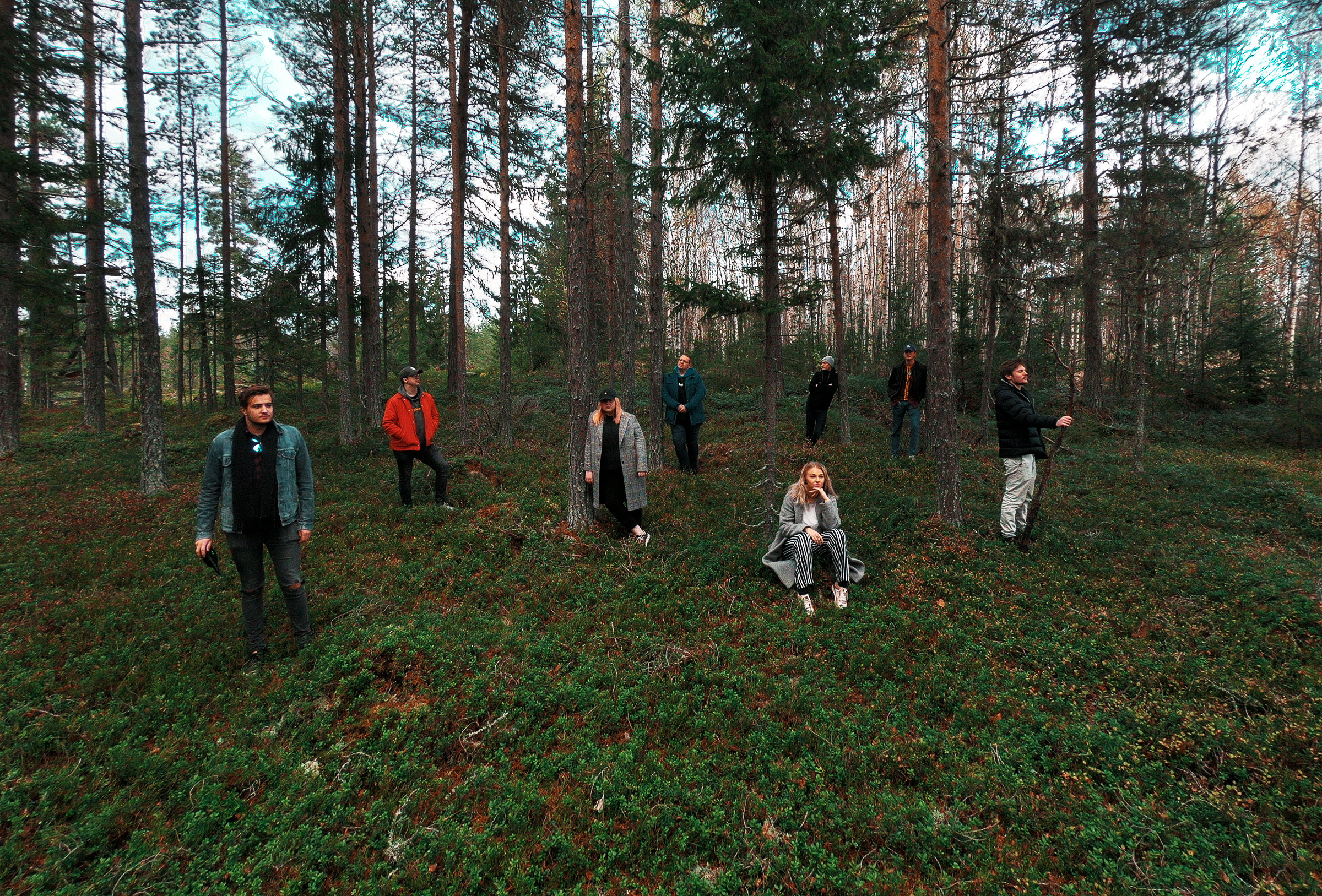 The_Woods_in_the_Woods_web The_Woods_in_the_Woods_web