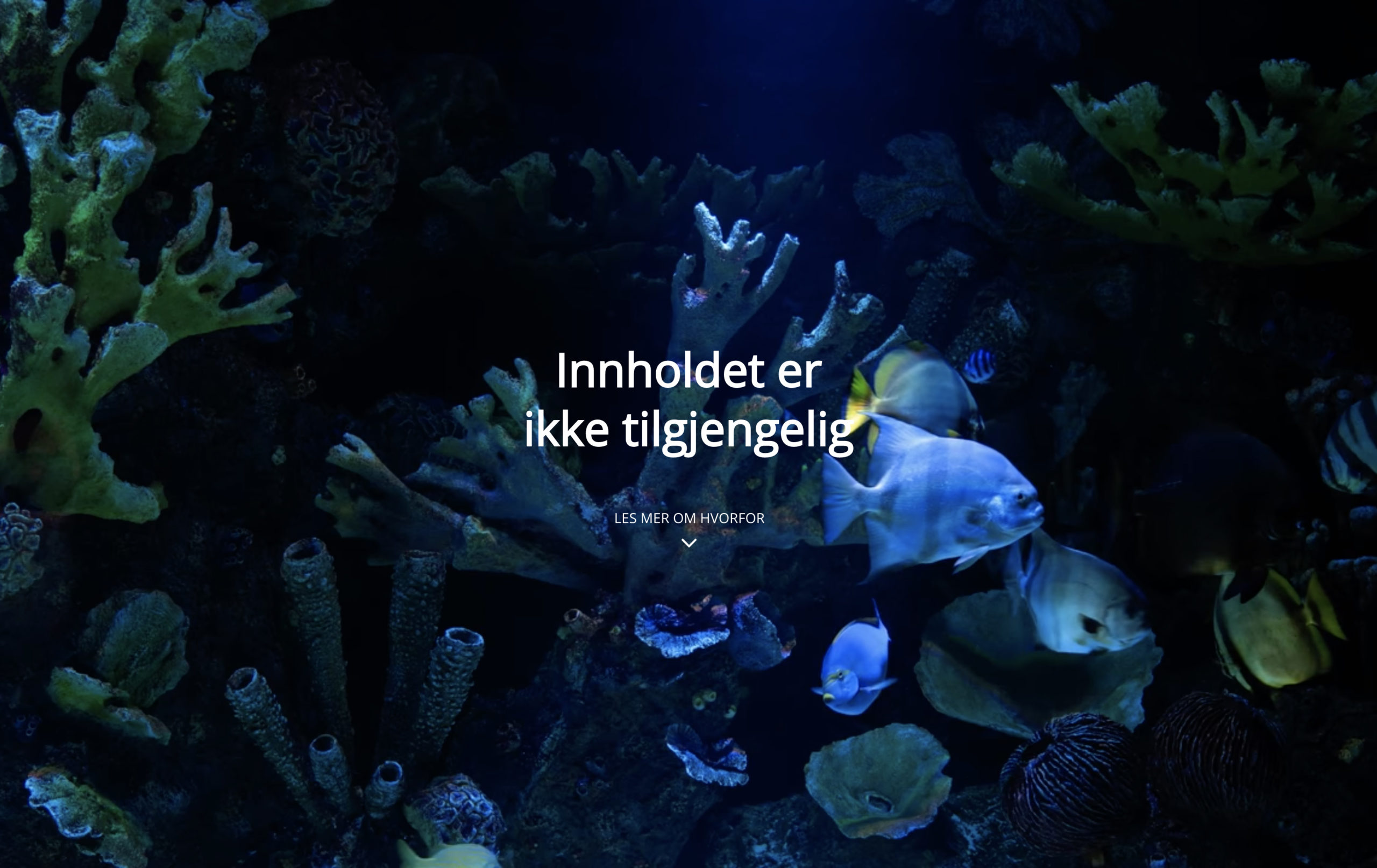 ikketilgjengelig.no ikketilgjengelig.no